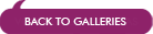 Volver a las galer�as
